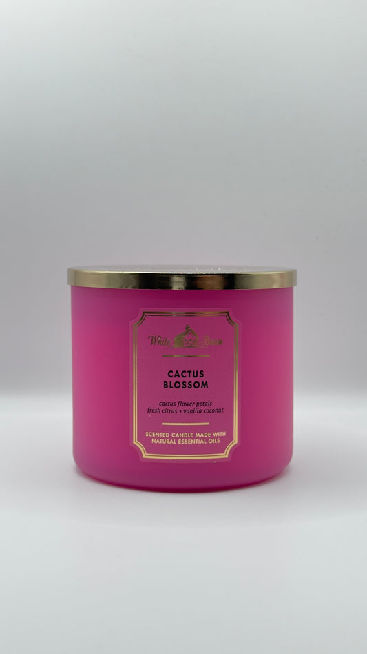 Cactus blossom 3 wick candle